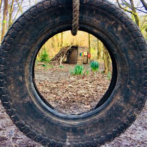 view through car tyre in the woods